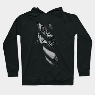 Cat in the Shadow Hoodie